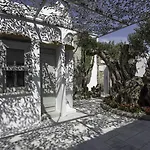 Greco Philia Boutique By Mr And Mrs White 5* Elia (Mykonos)