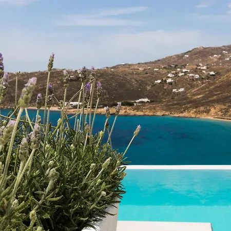 米科诺斯smy套房别墅酒店 Elia (Mykonos)