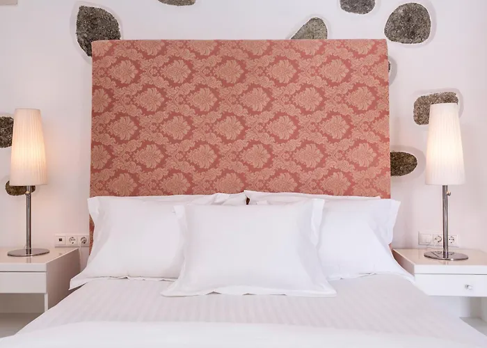 Greco Philia Boutique 5* Elia (Mykonos)